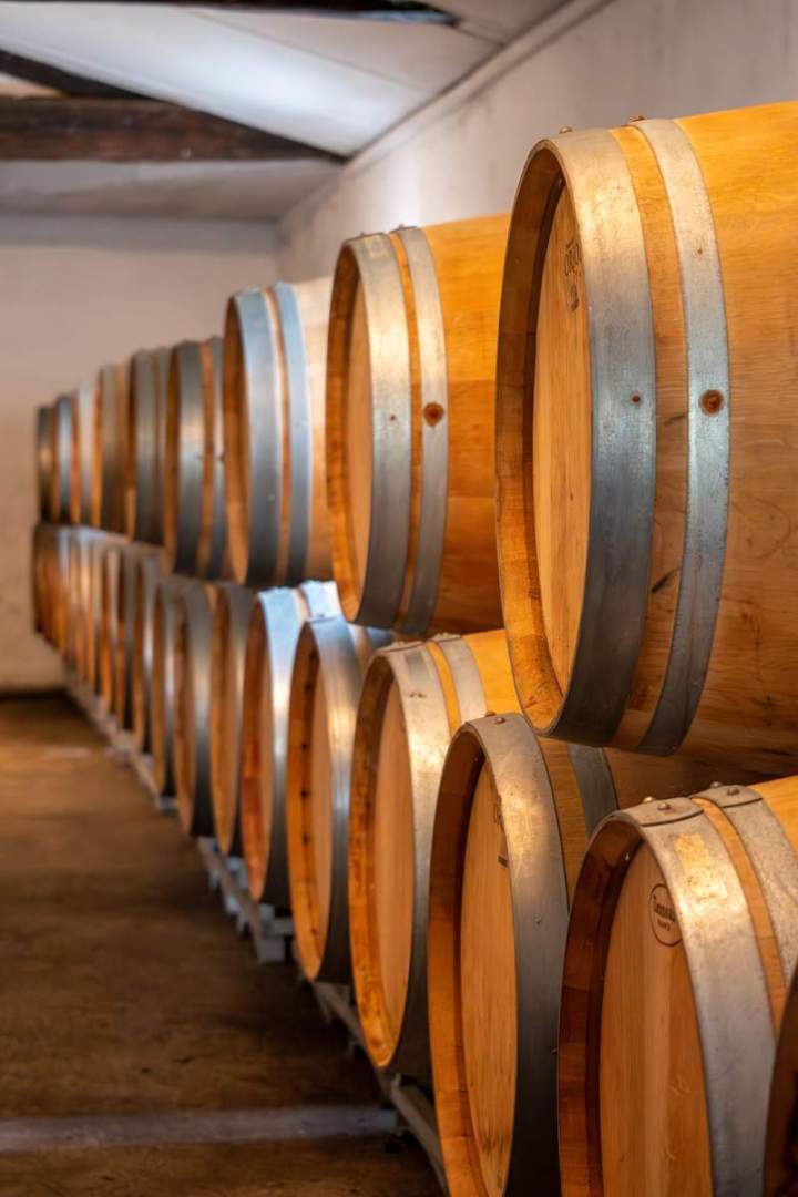 Domaine viticole à Illats