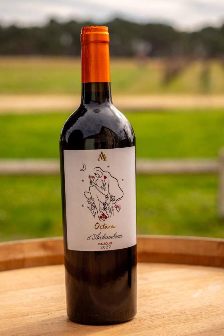 Nos vins – Illats