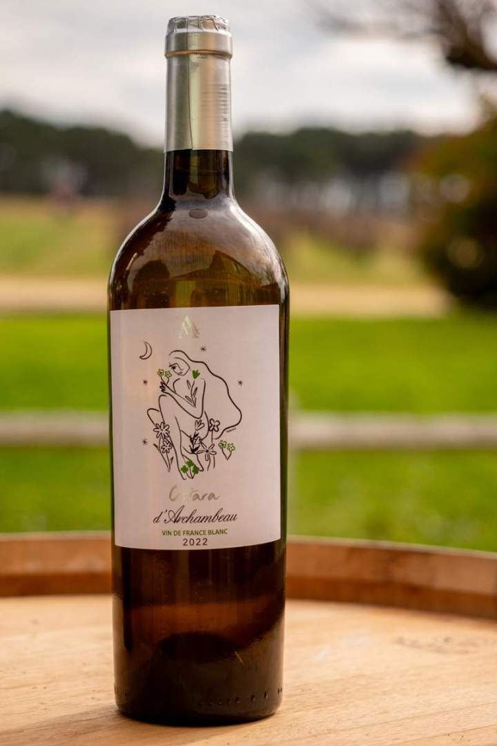 Nos vins – Illats