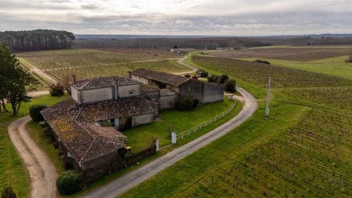 Organisation de visites domaine viticole Illats