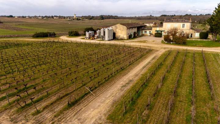 Domaine viticole à Illats