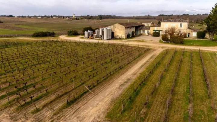 Domaine viticole, Gironde