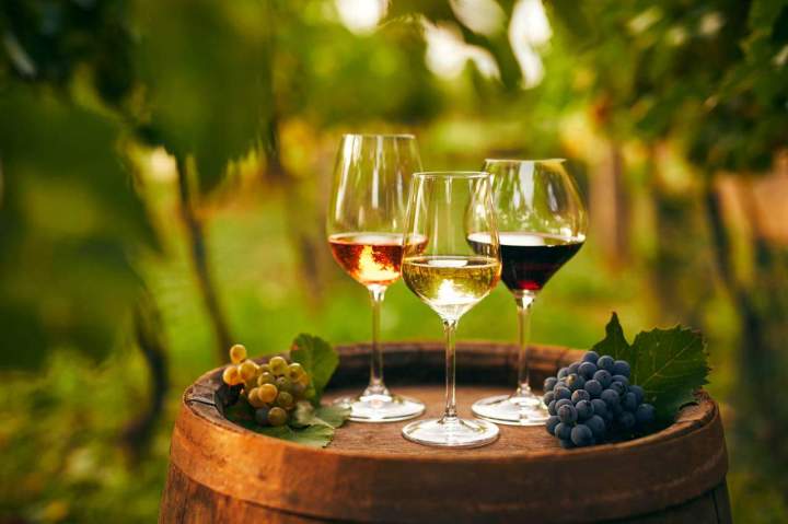 Vente de vins Illats
